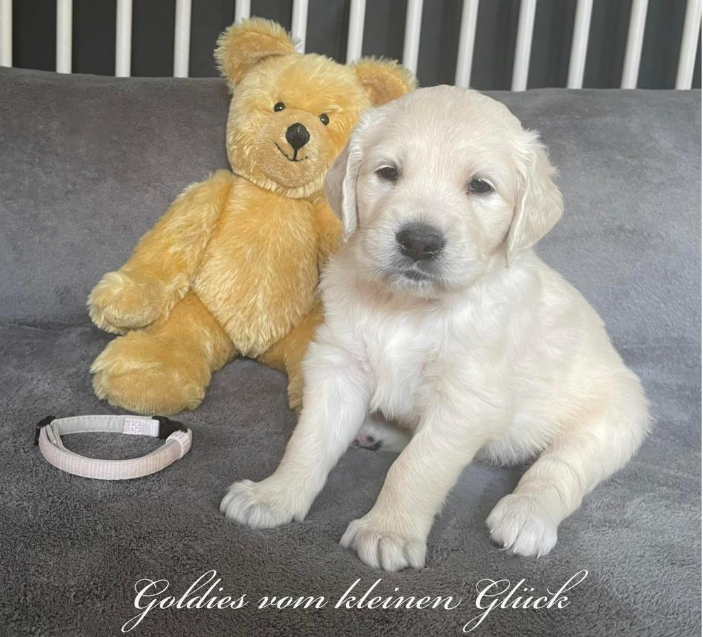 Duffy