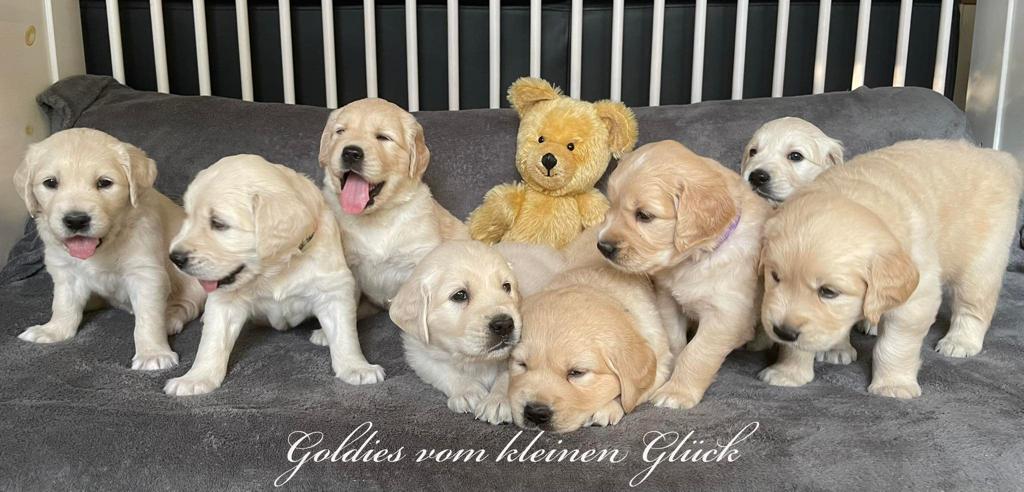 Gruppenbild 2022