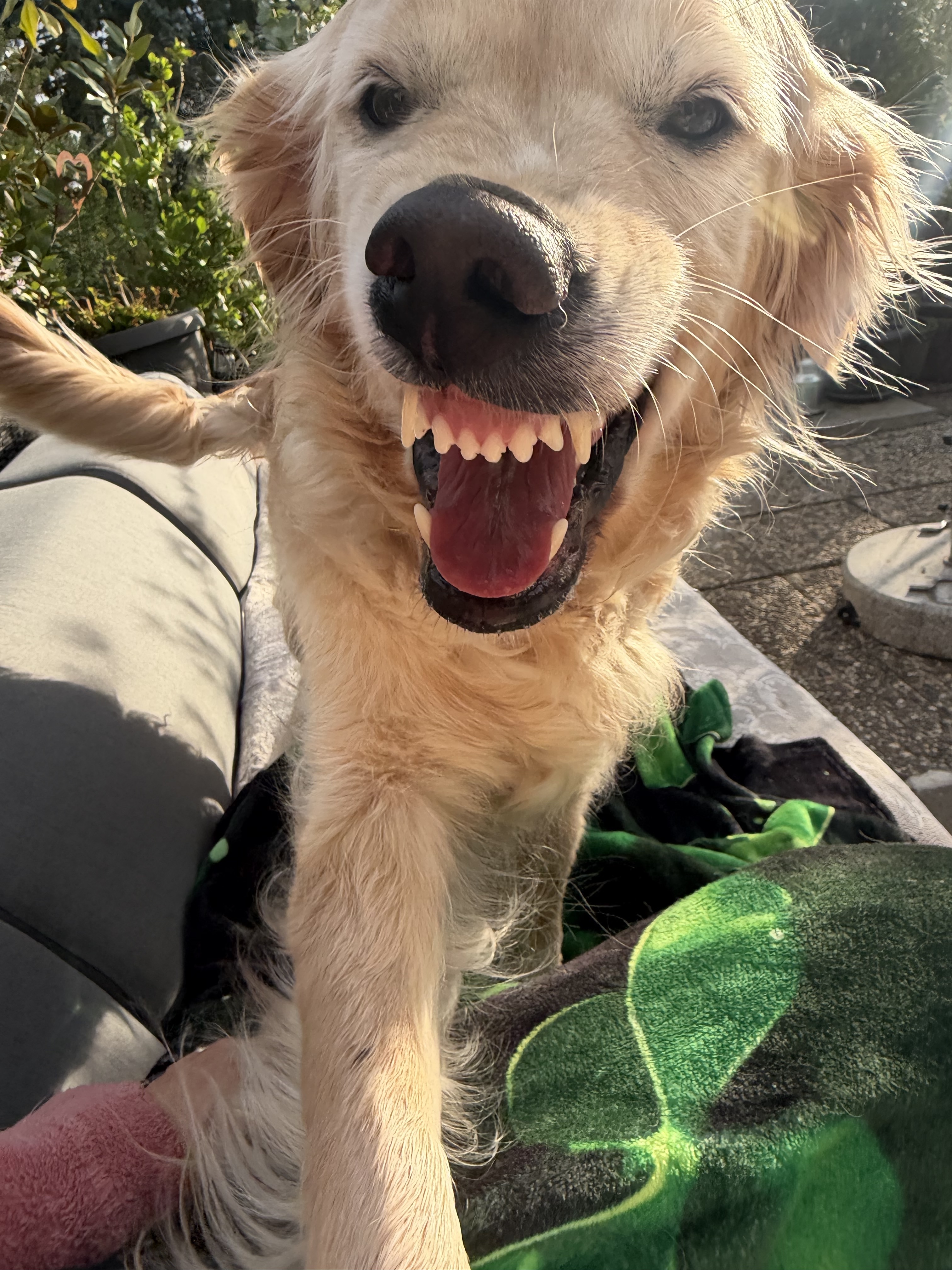 Coco3