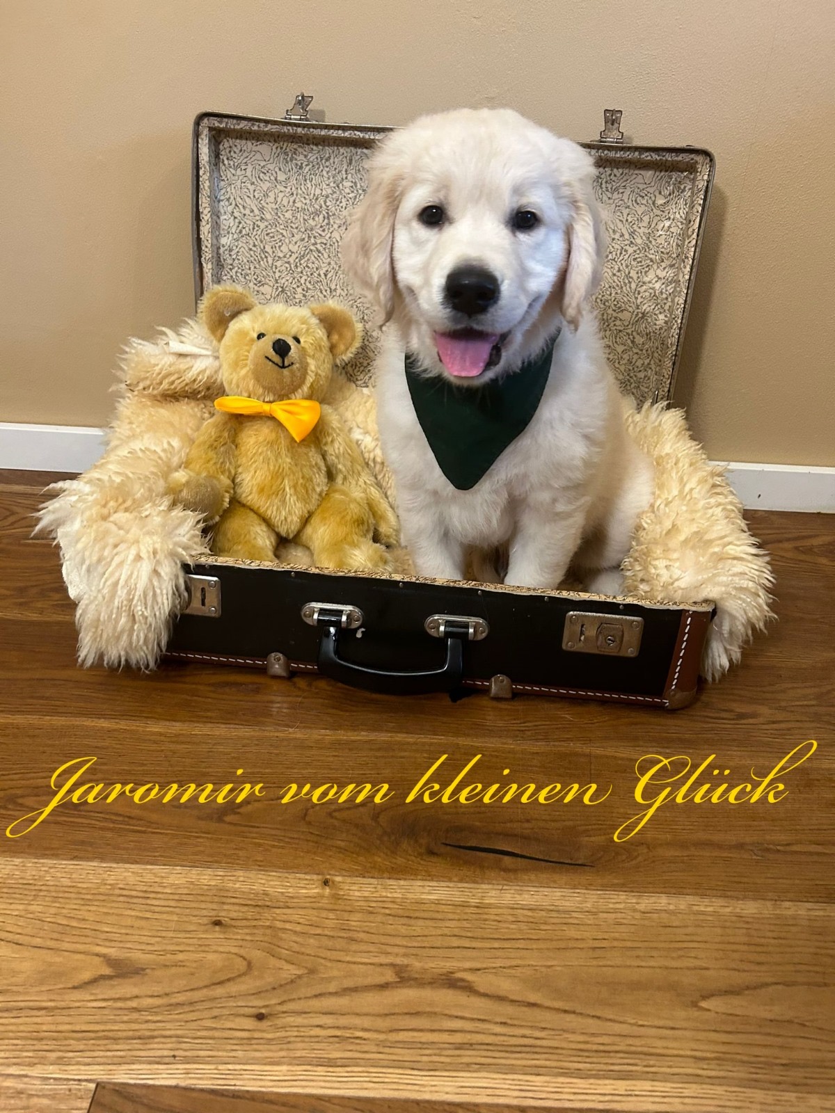 Jaromir 23.06.2024
