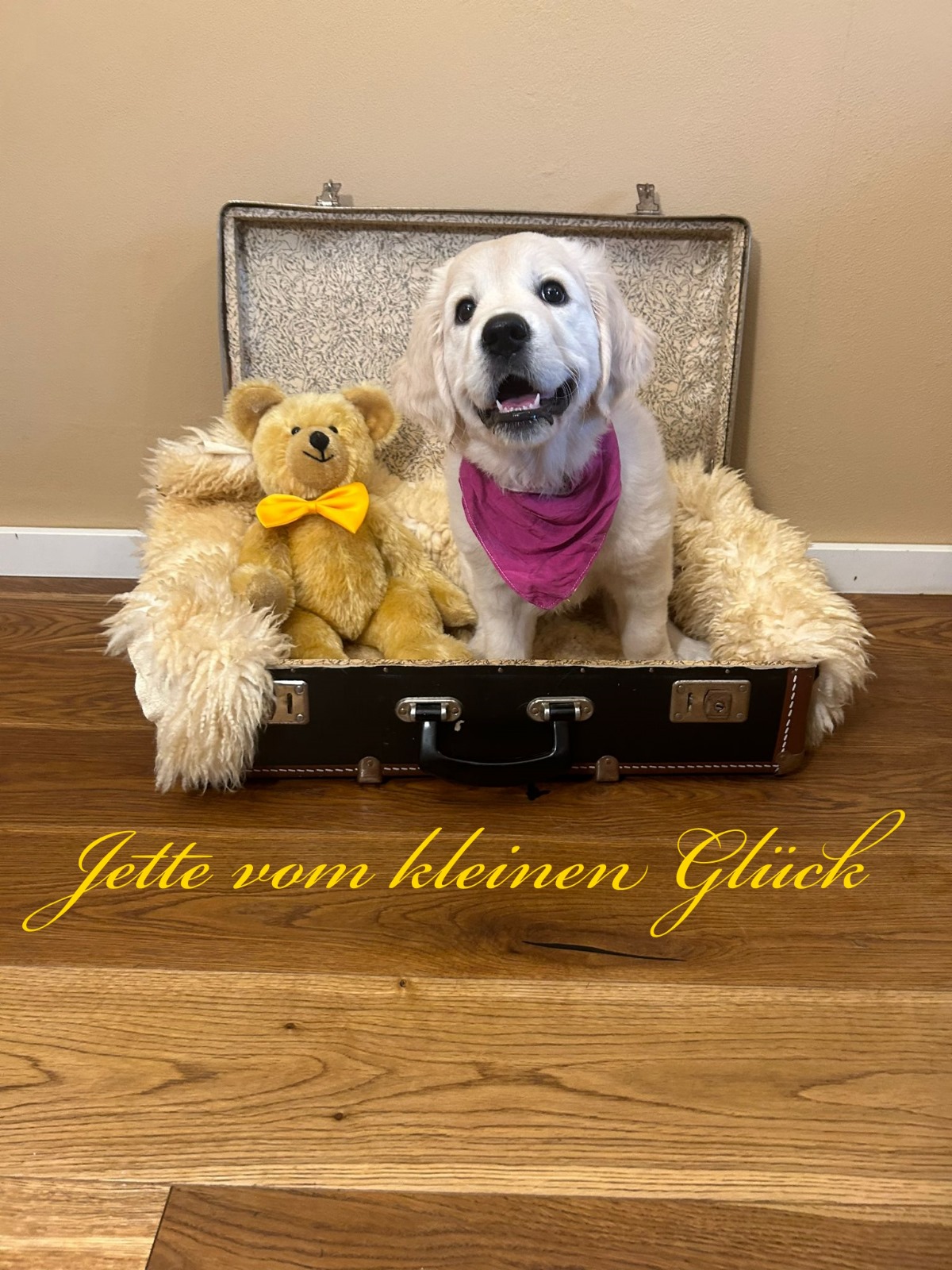 Jette Homepage 23.06.2024