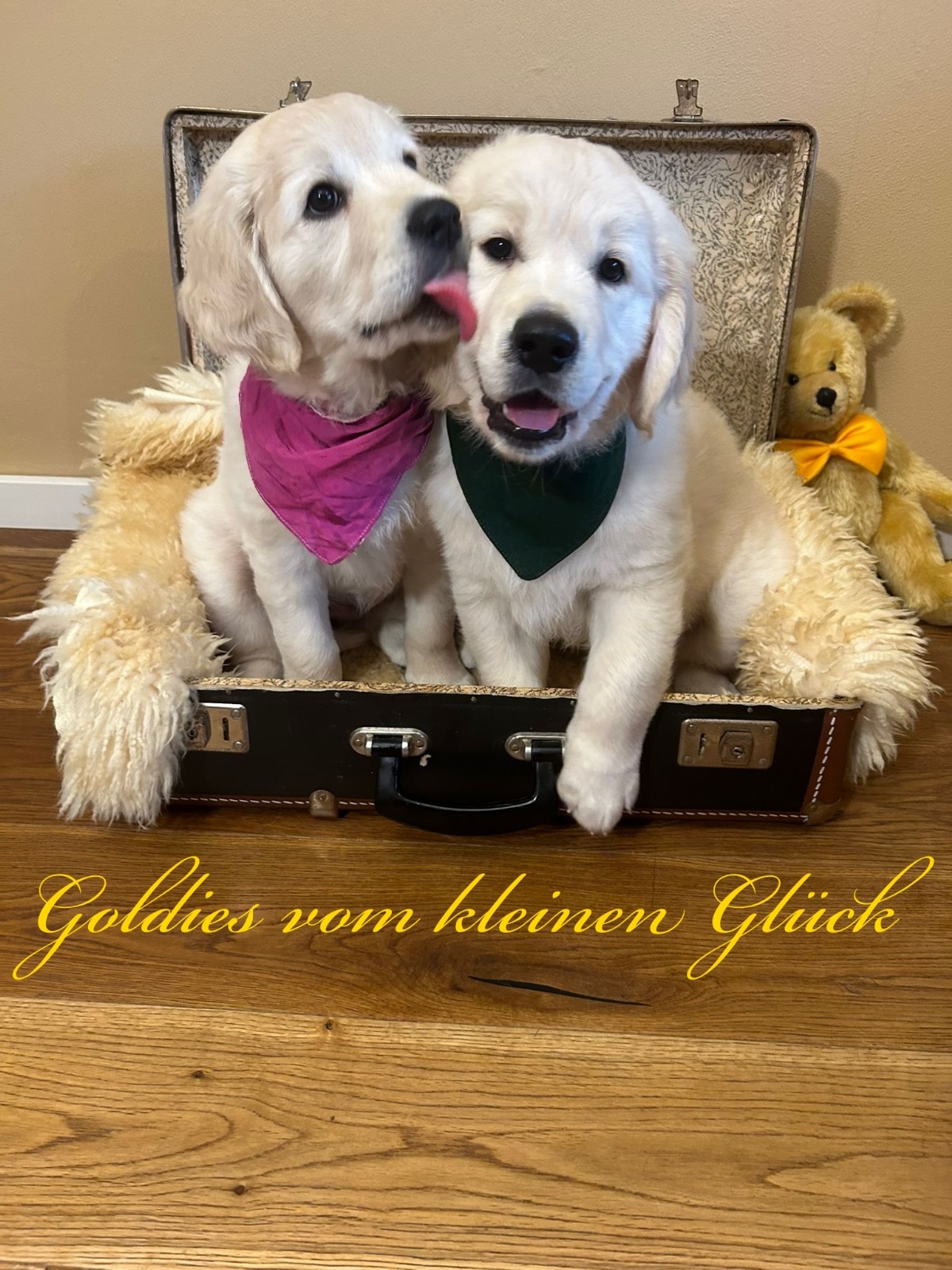 Jette & Jaromir 23.06.2024