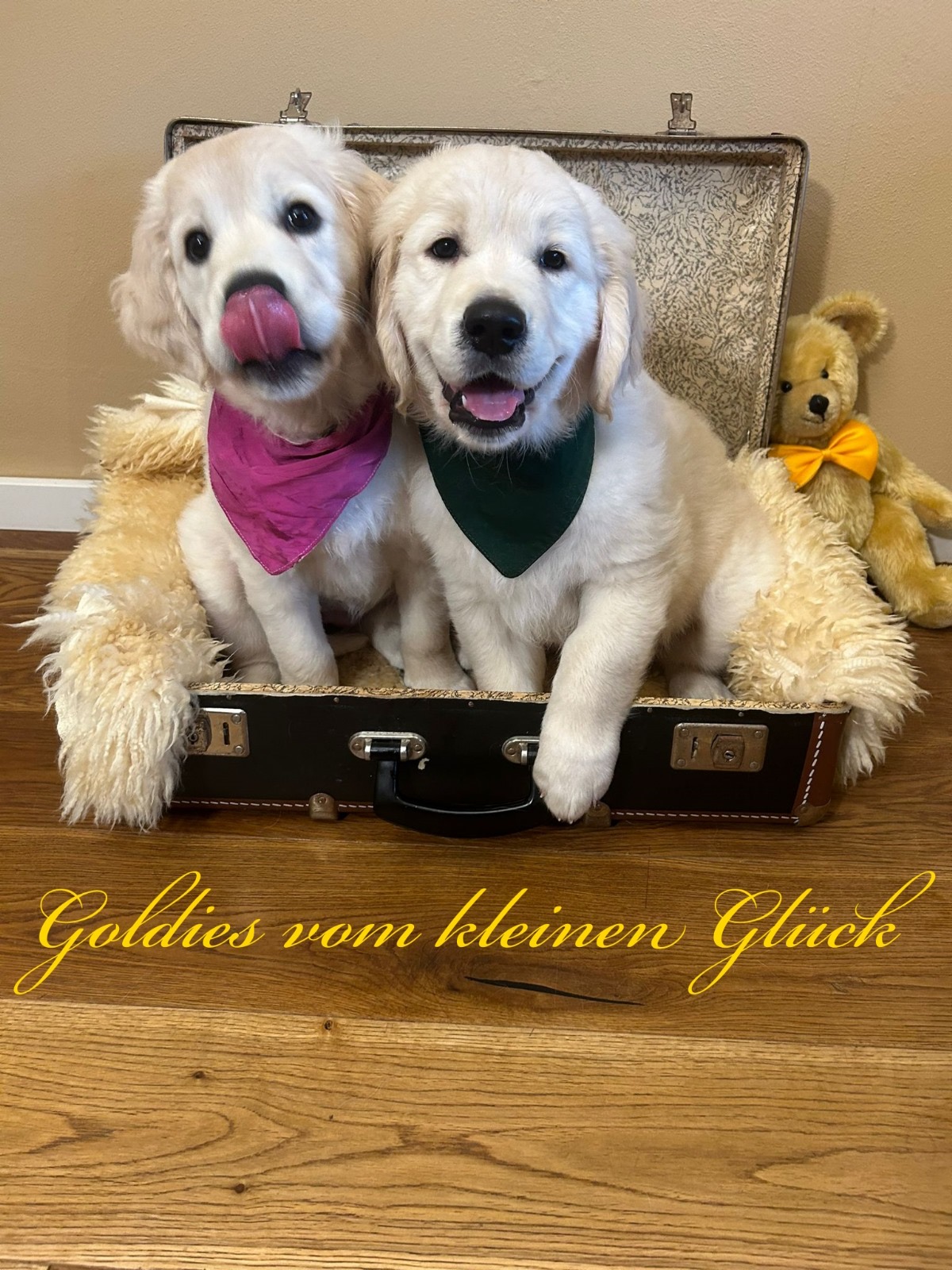 Jette & Jaromir 23.06.2024